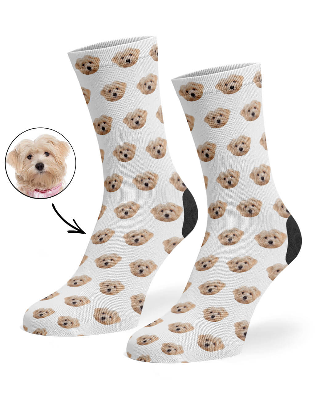 Your Dog Pattern Socks