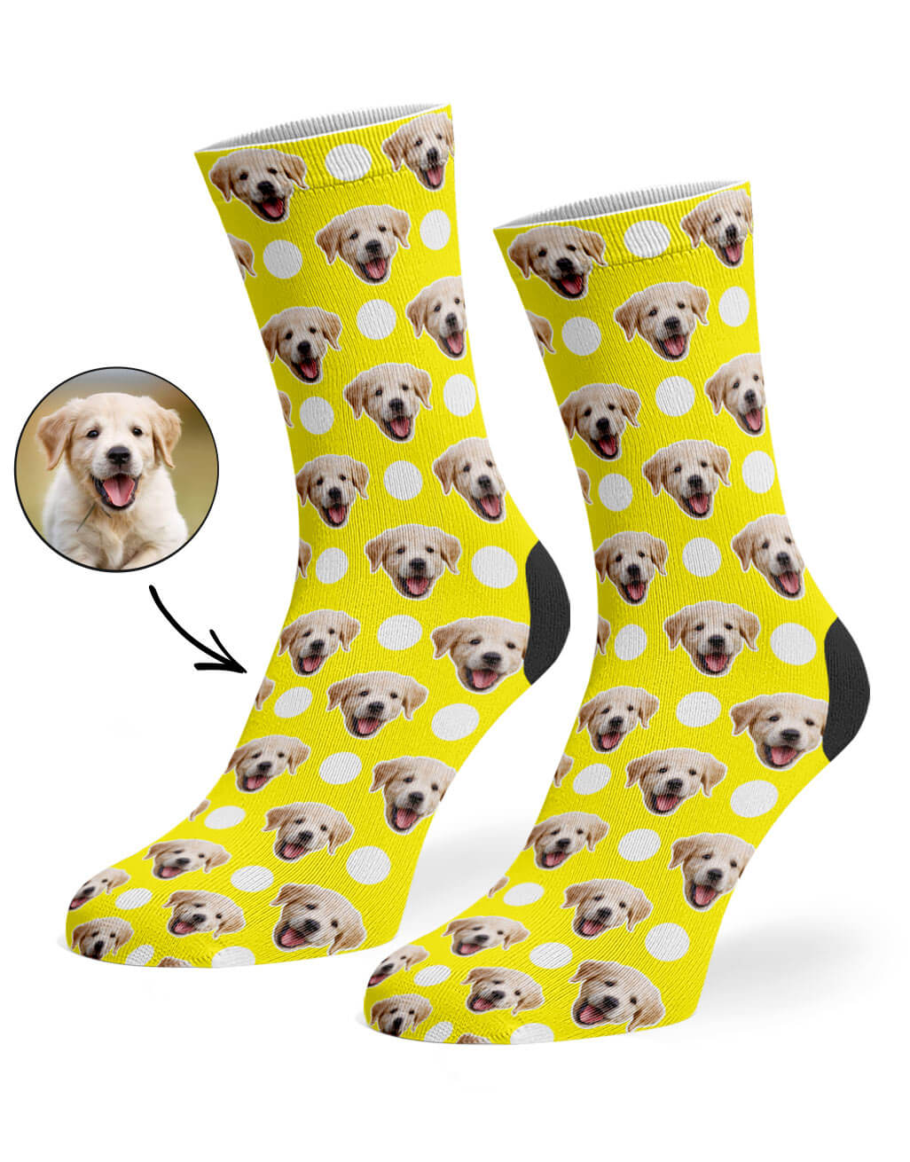 Polka Dog Socks