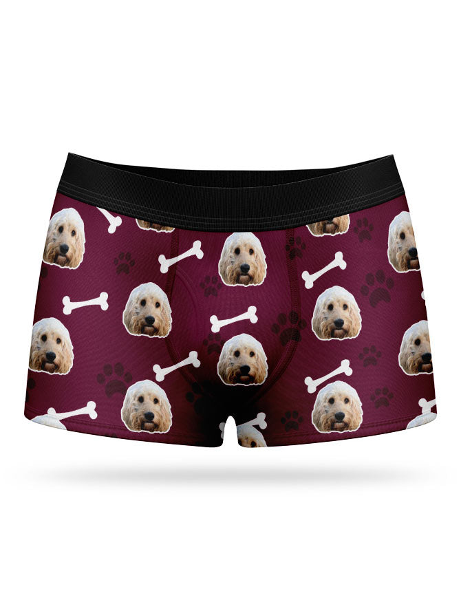 Your Dog on Boxers