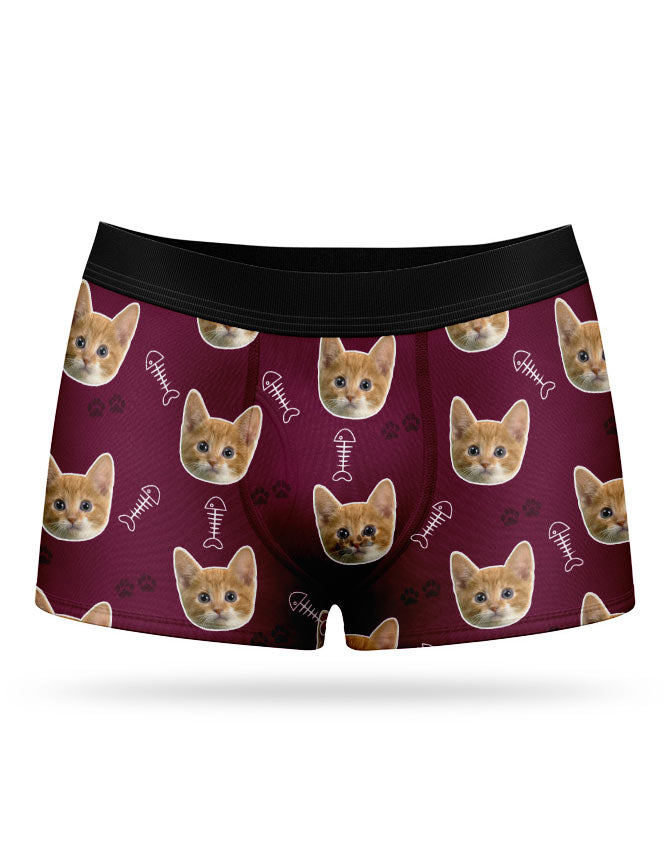 Your Cat on Boxers