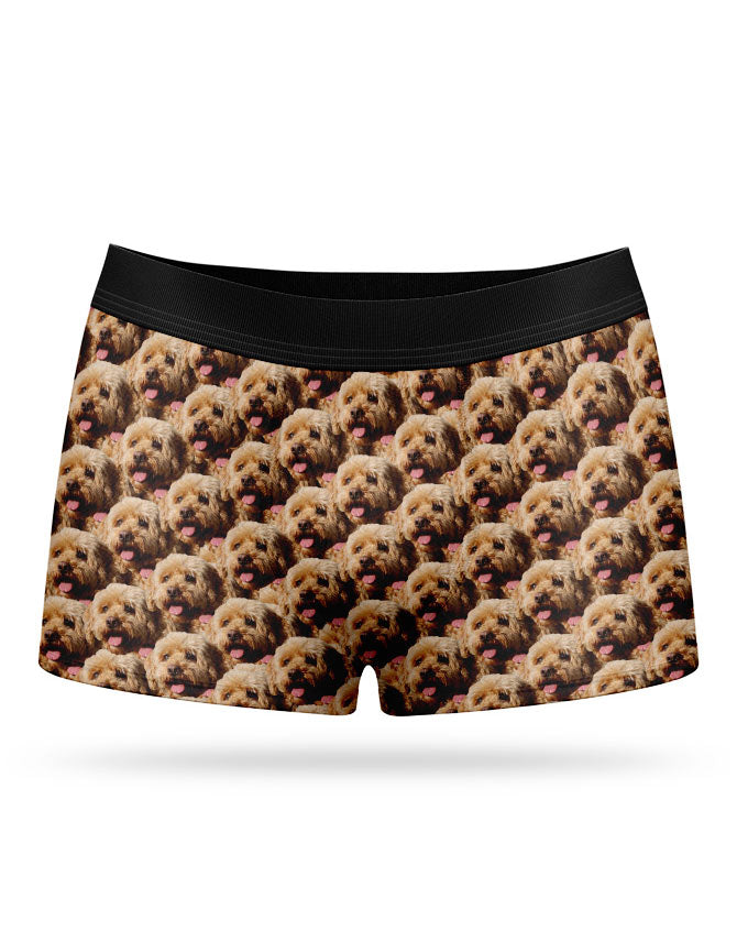 Dog Mash Boxers