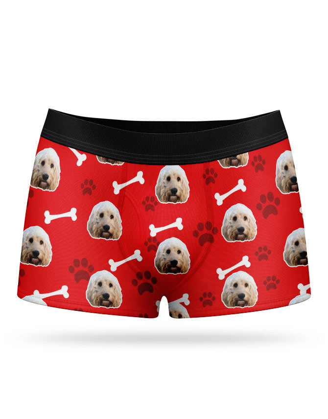 Your Dog on Boxers