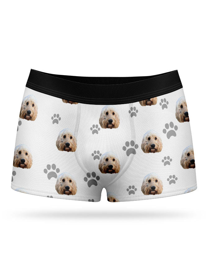 Your Dog on Boxers