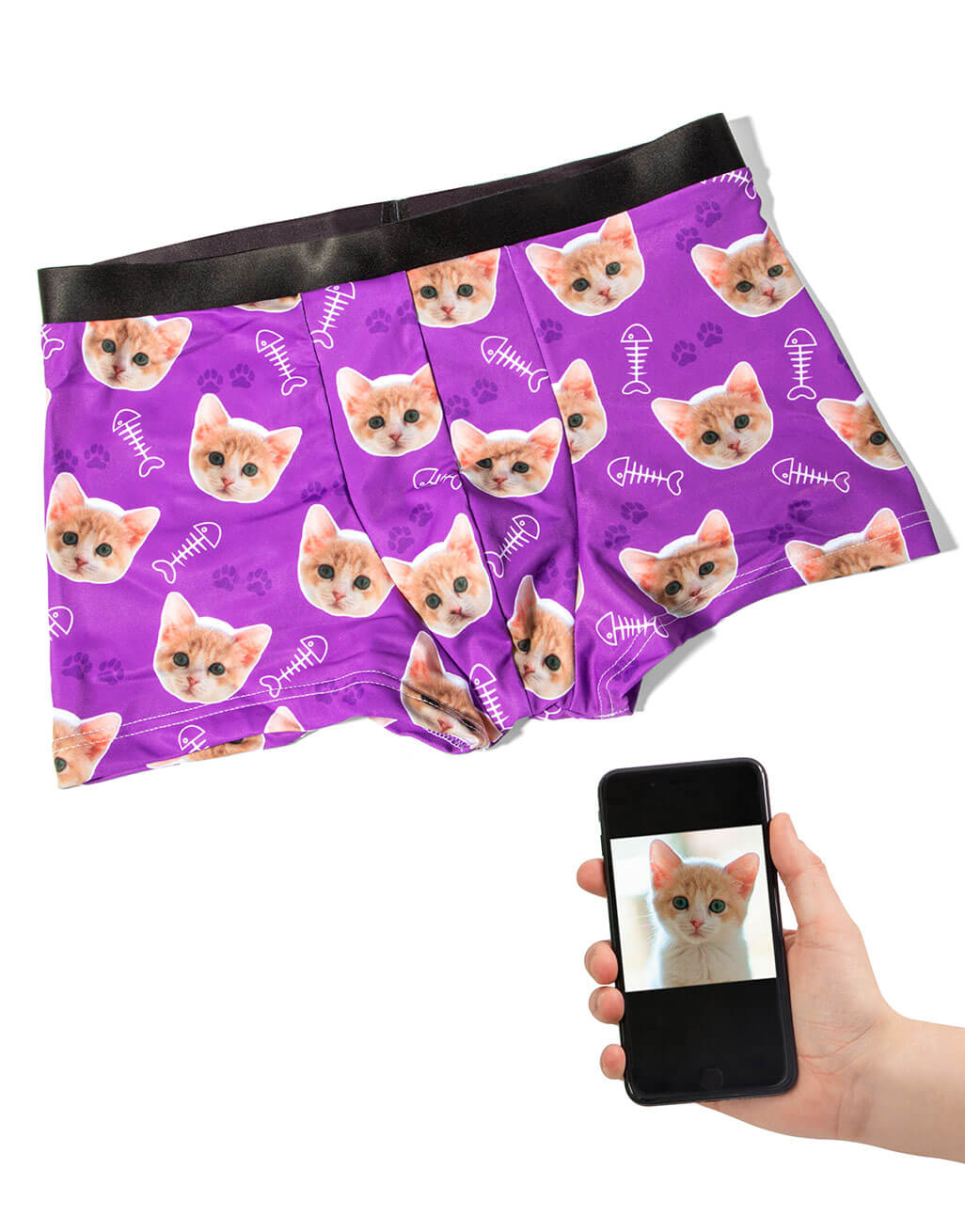 Your Cat on Boxers