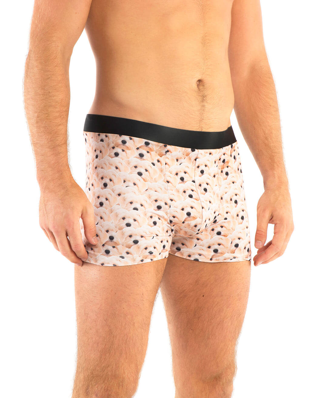 Dog Mash Boxers