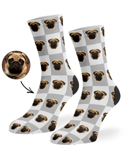Chequered Dog Socks