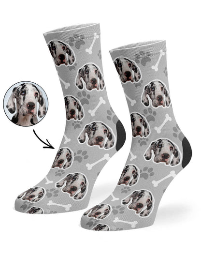 Your Dog Socks