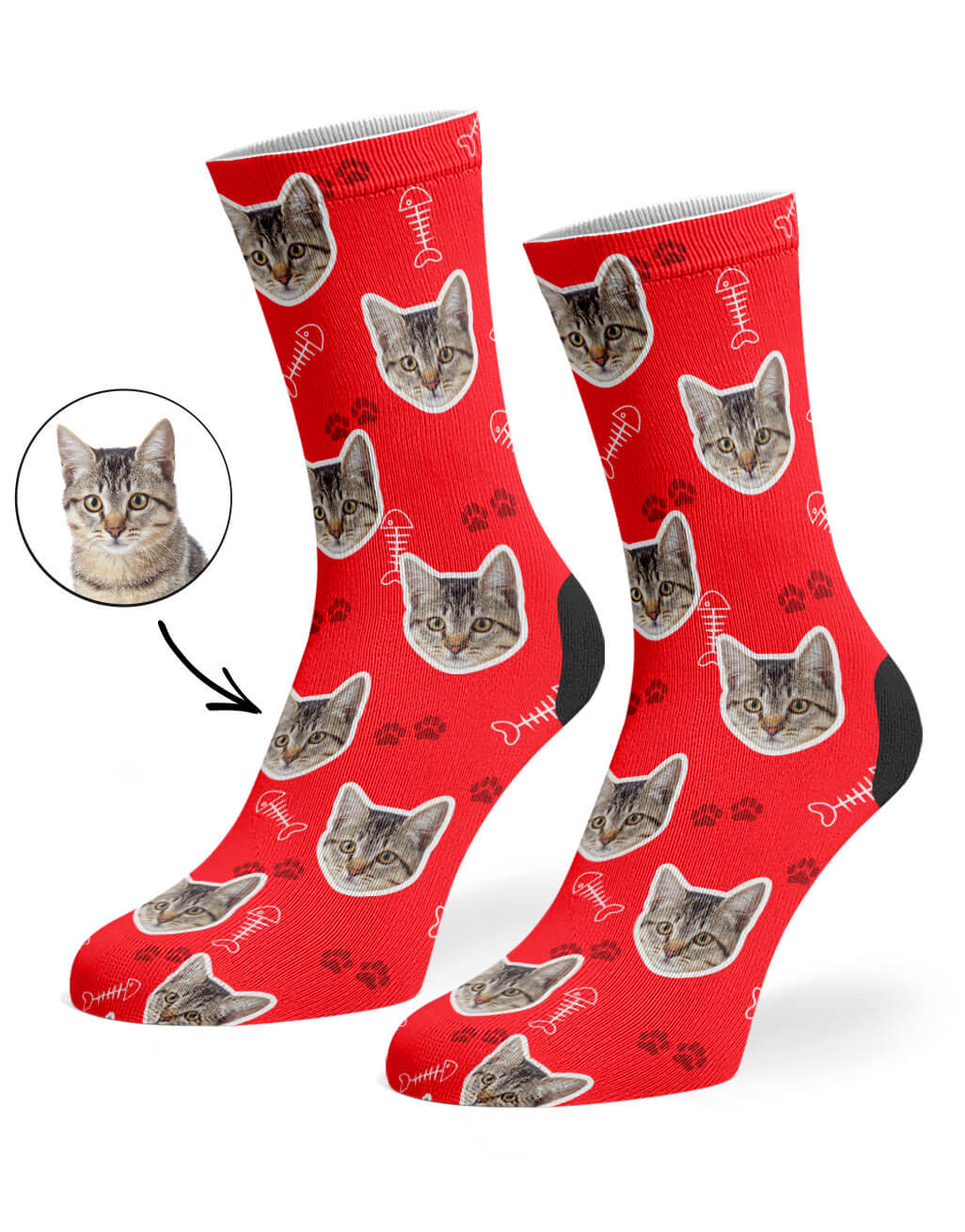 Your Cat On Socks