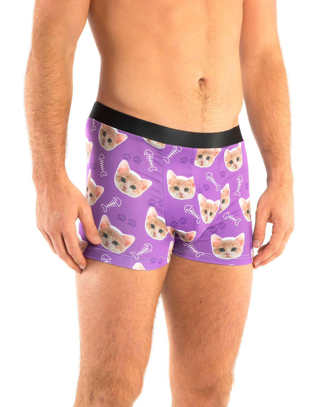 Your Cat on Boxers