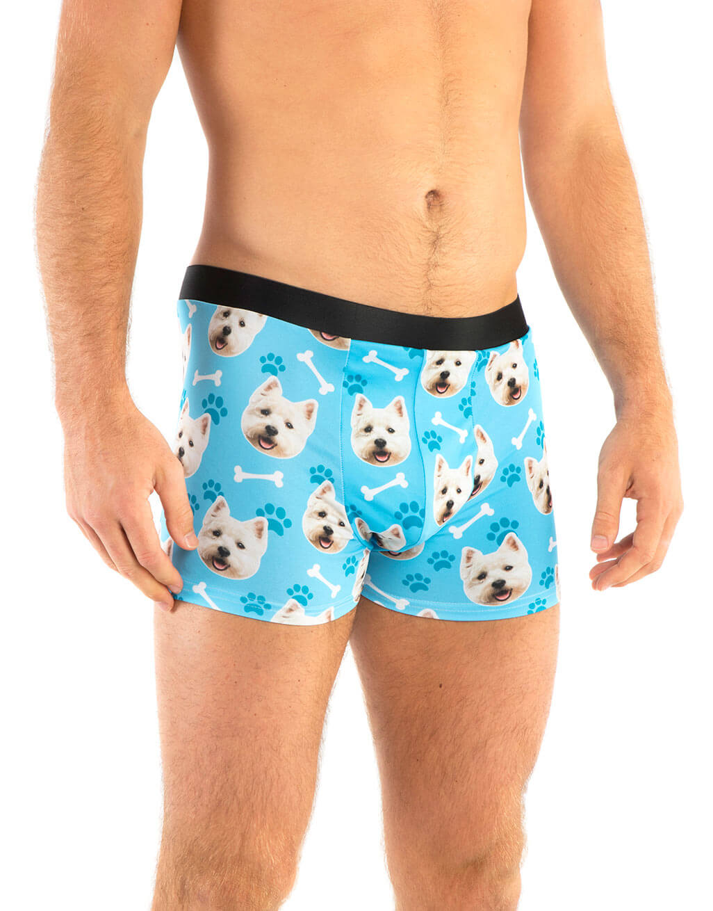Your Dog on Boxers