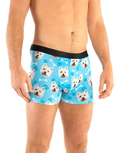 Your Dog on Boxers