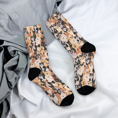 Custom Men's Underwear & Socks Set - Pets Family Design