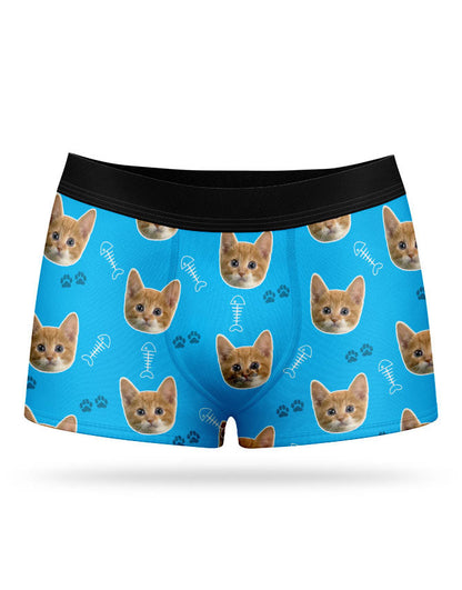 Your Cat on Boxers