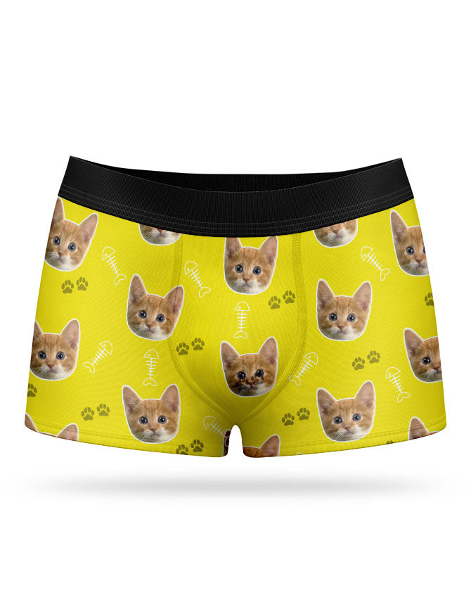 Your Cat on Boxers