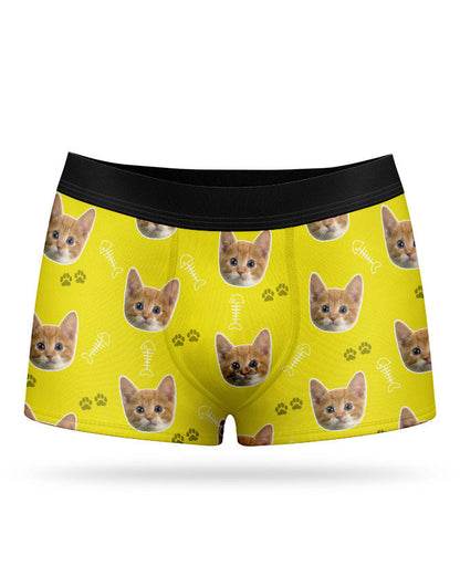 Your Cat on Boxers