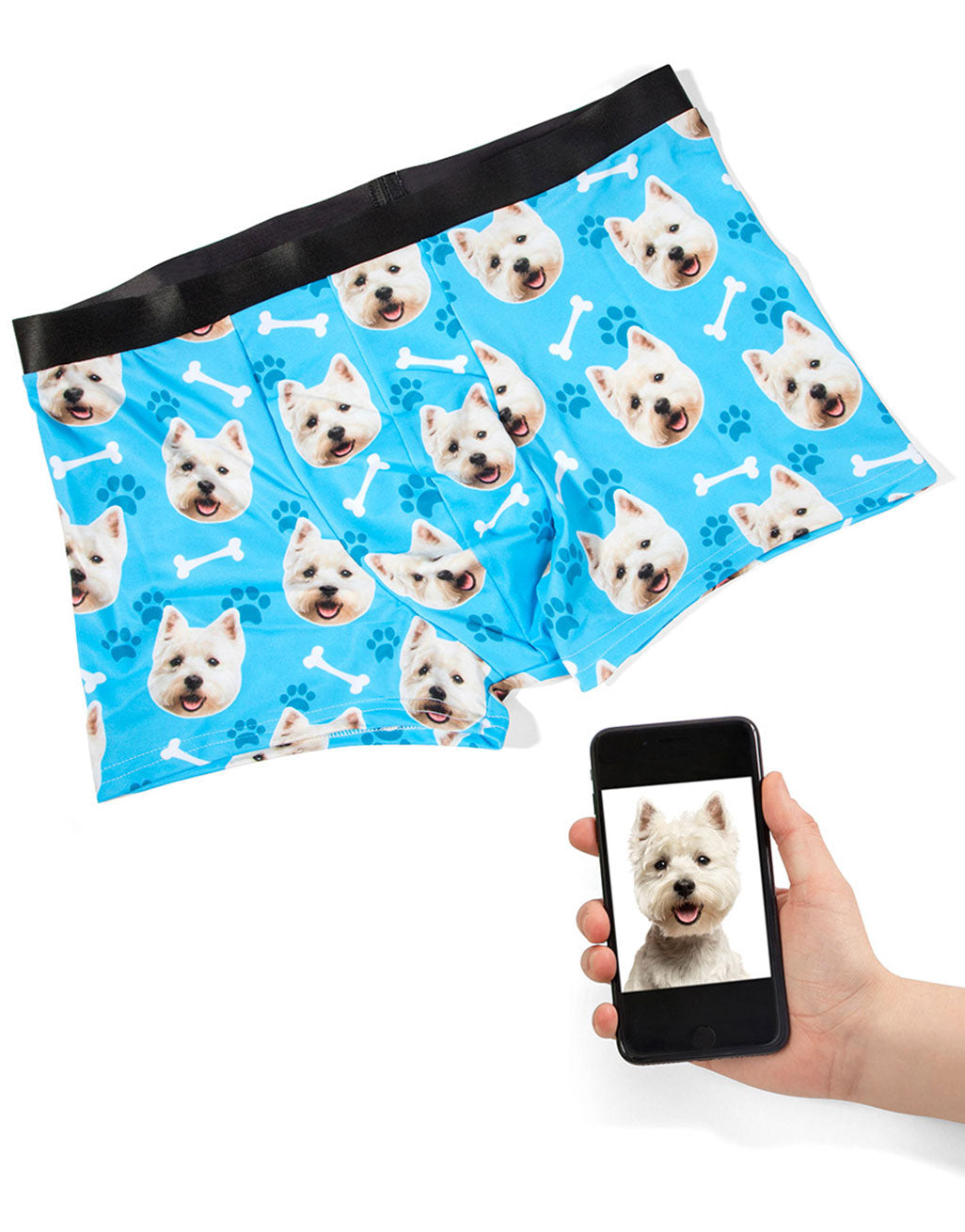 Your Dog on Boxers