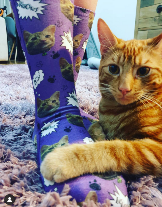 Your Cat Meow Socks