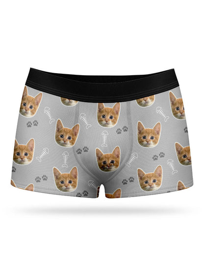 Your Cat on Boxers