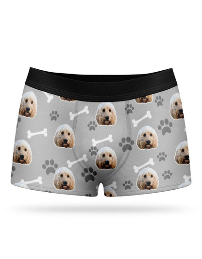 Your Dog on Boxers