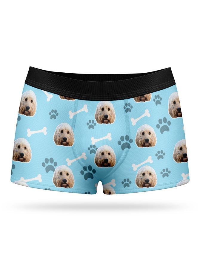 Your Dog on Boxers