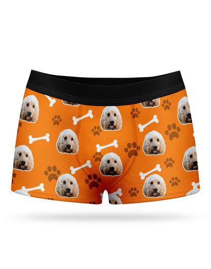 Your Dog on Boxers