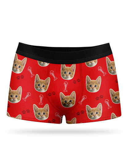 Your Cat on Boxers