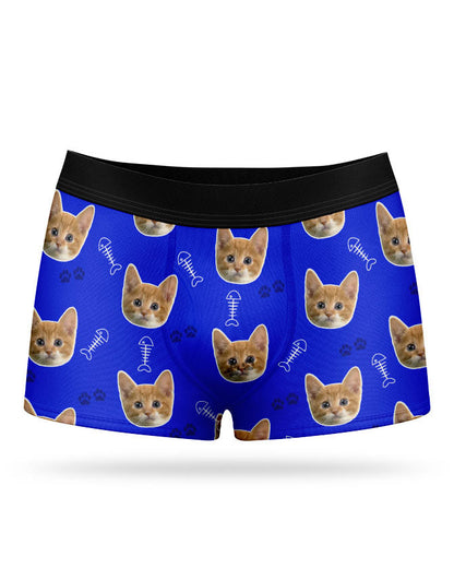 Your Cat on Boxers