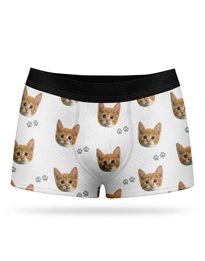 Your Cat on Boxers