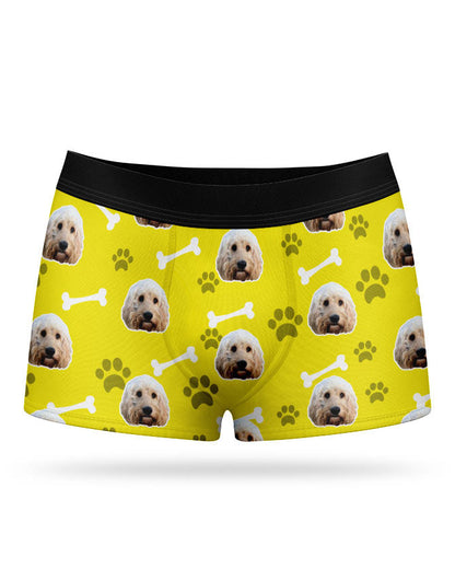 Your Dog on Boxers