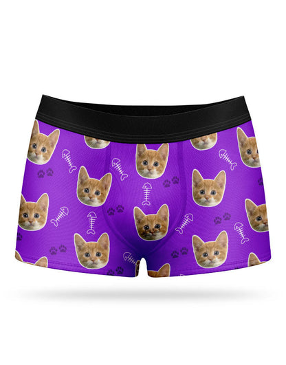 Your Cat on Boxers