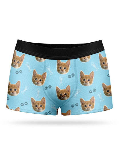 Your Cat on Boxers
