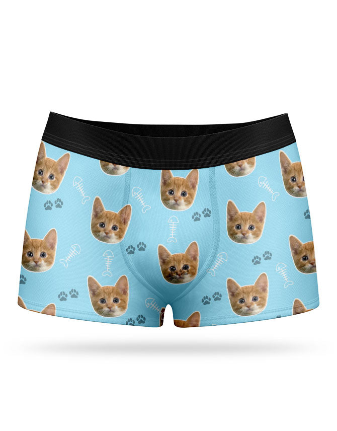 Your Cat on Boxers